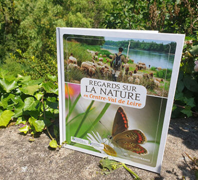 Livre « Regards sur la nature en Centre-Val de Loire » posé sur un rocher en pleine nature.