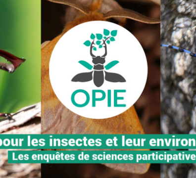 les enquêtes de l'OPIE - office pour les insectes et leur environnement