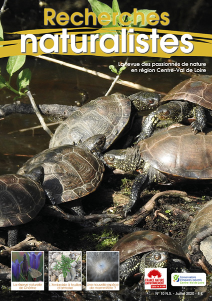 Recherches naturalistes - Numéro 10