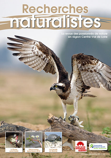 Recherches naturalistes - Numéro 9