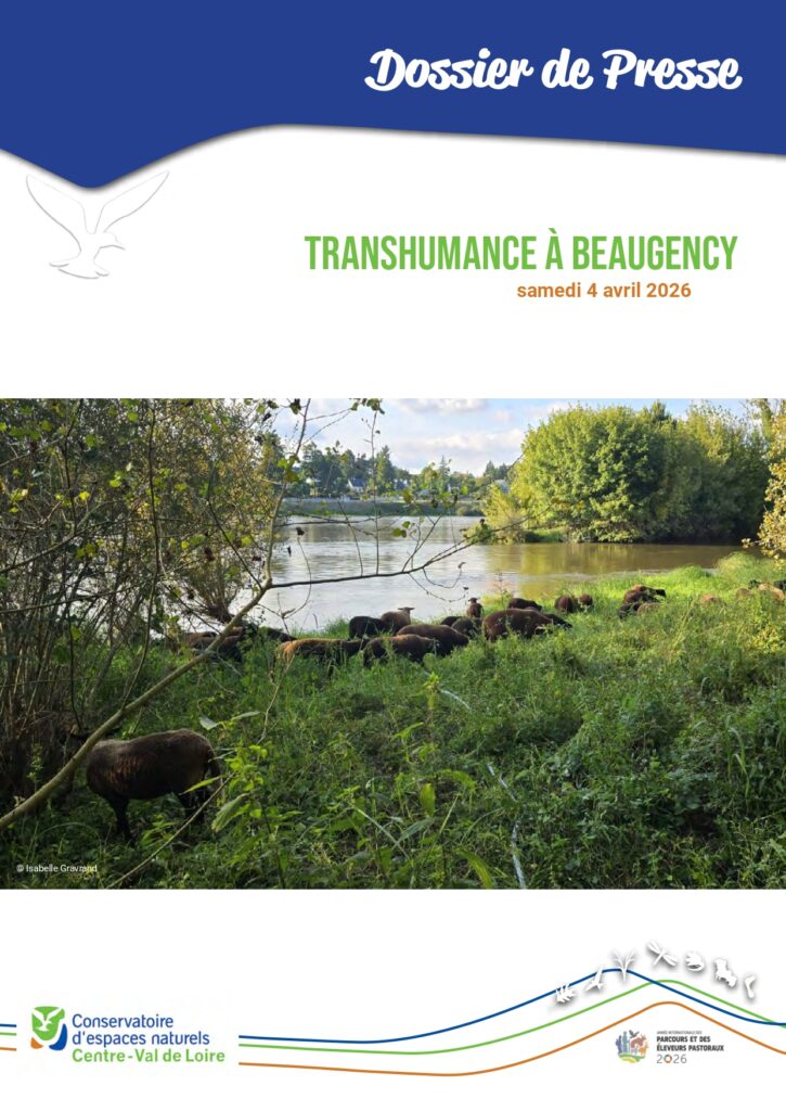 Dossier de presse - ranshumance Beaugency 2026
