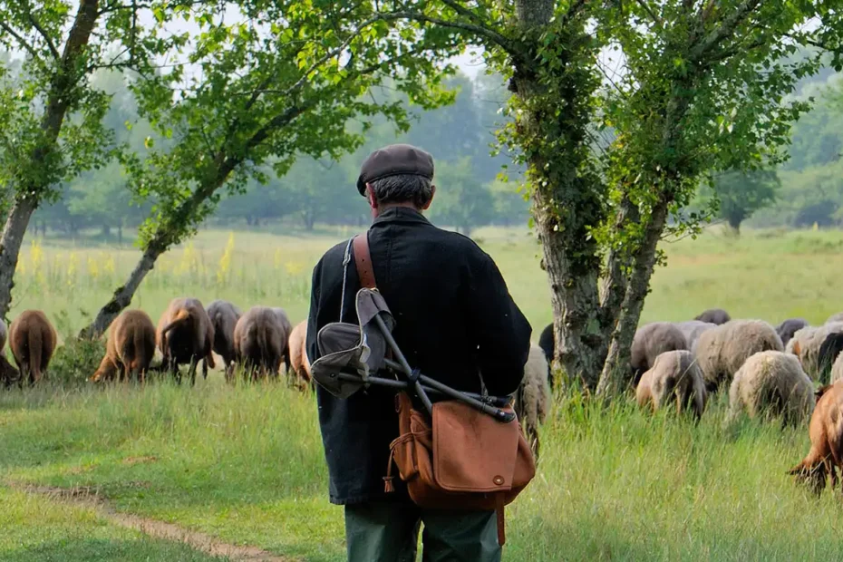Pastoralisme loire