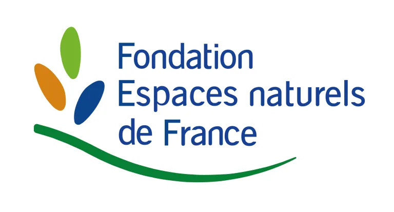 Fondation enf