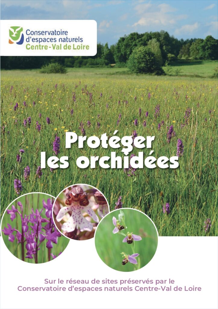 Plaquette Orchidées