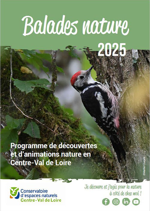 Couverture du calendrier Balades nature 2025