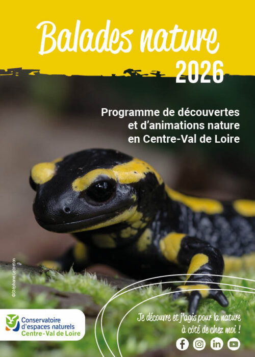 Couverture « Balades nature » 2026