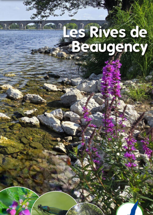 Beaugency