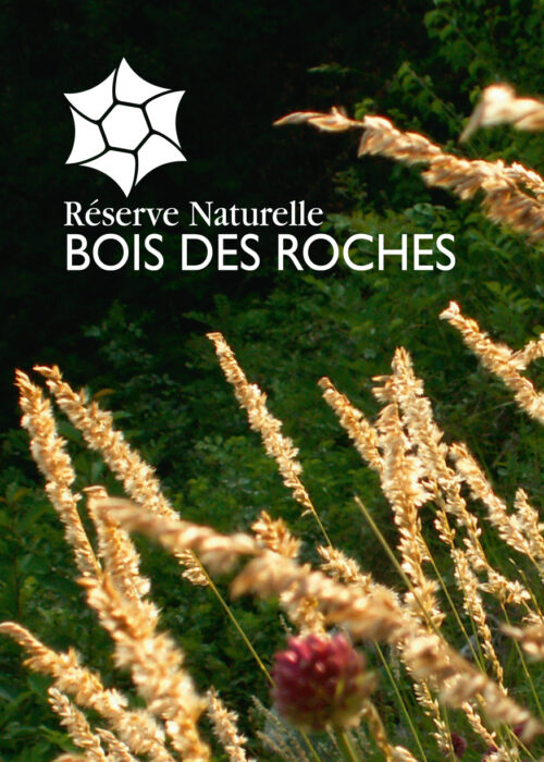 Bois des Roches