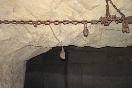 Cave_Puy-aux-Boeufs Cave_Puy-aux-Boeufs