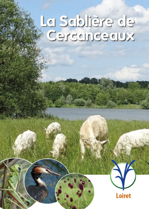 La Sablière de Cercanceaux