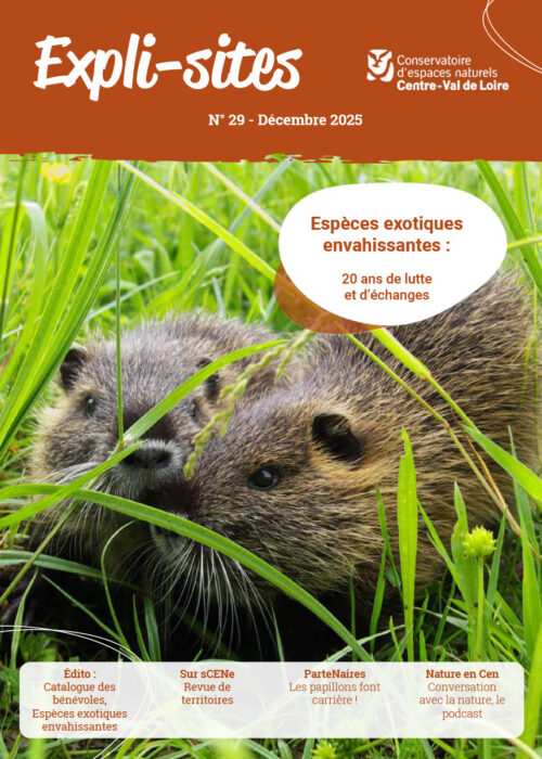 Expli-Sites n°29 - Décembre 2025