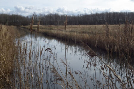 Le Marais de Jean Varenne