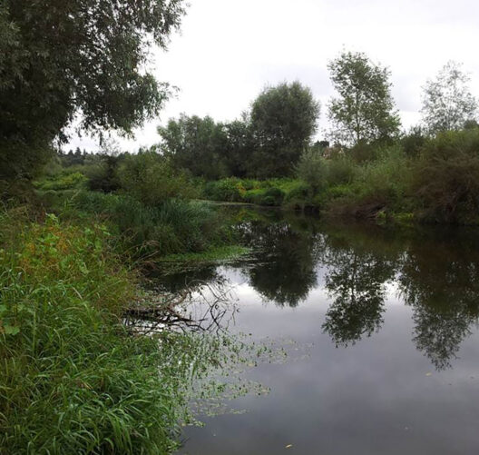 la Petite Loire de Loir-et-Cher