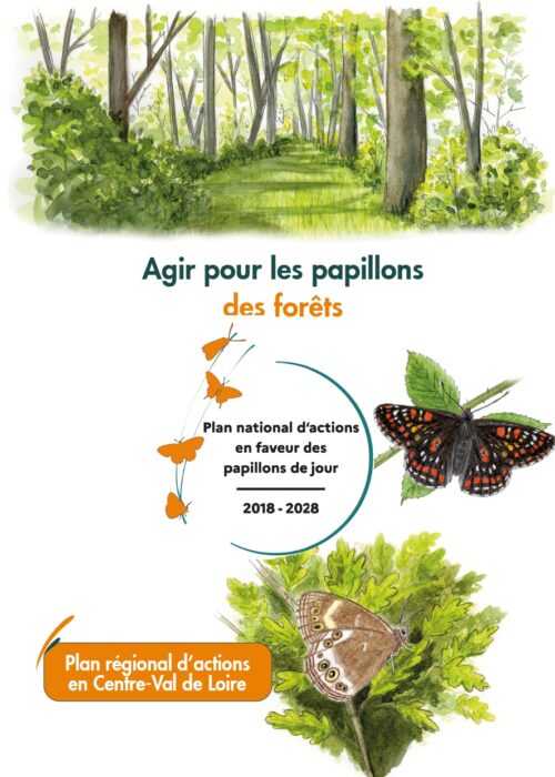 Plaquette Papillons de Jour des Forets
