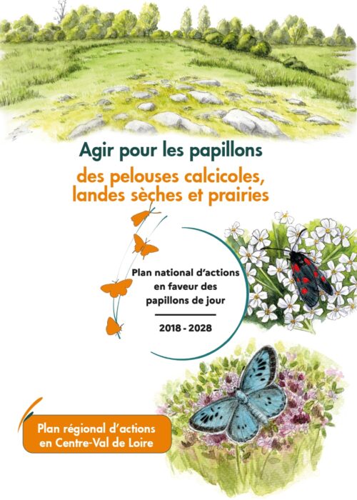 Plaquette_PapillonsJour_Pelouses