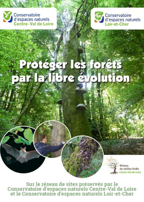 Plaquette_foret