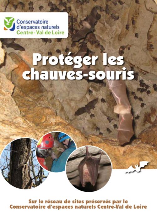 Plaquette Chauves-souris