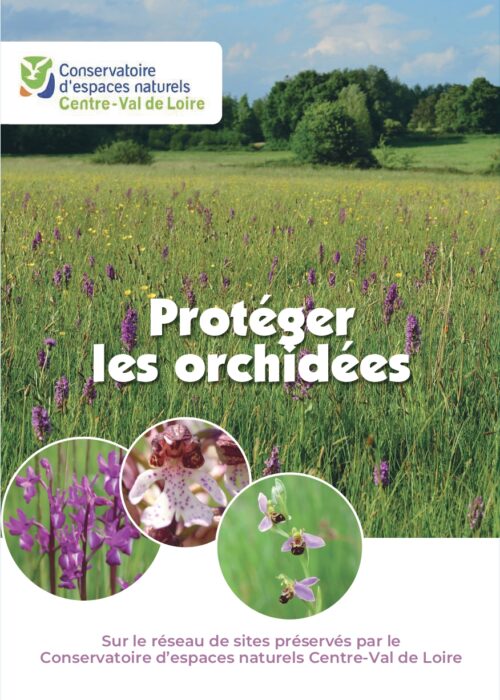 Plaquette Orchidées
