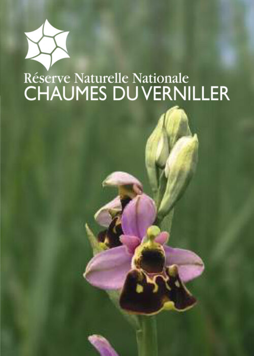RNN Chaumes du Verniller