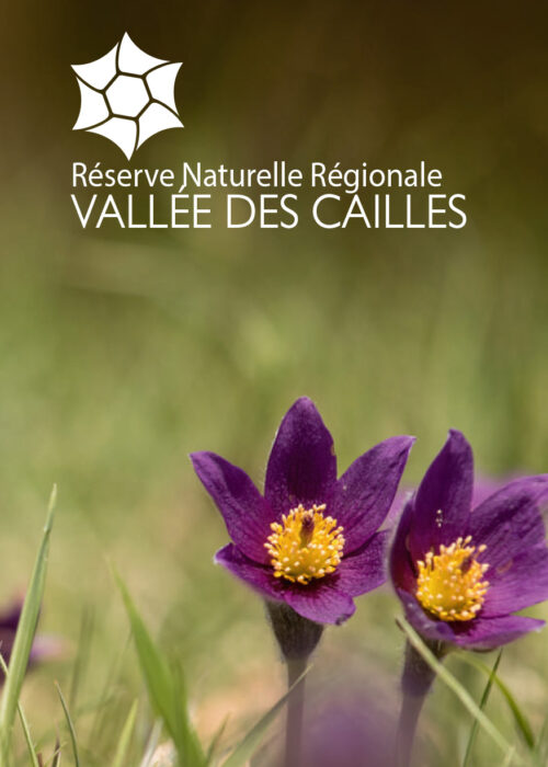 RNR Vallée des Cailles