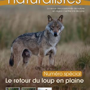 Recherches naturalistes - Numéro 13