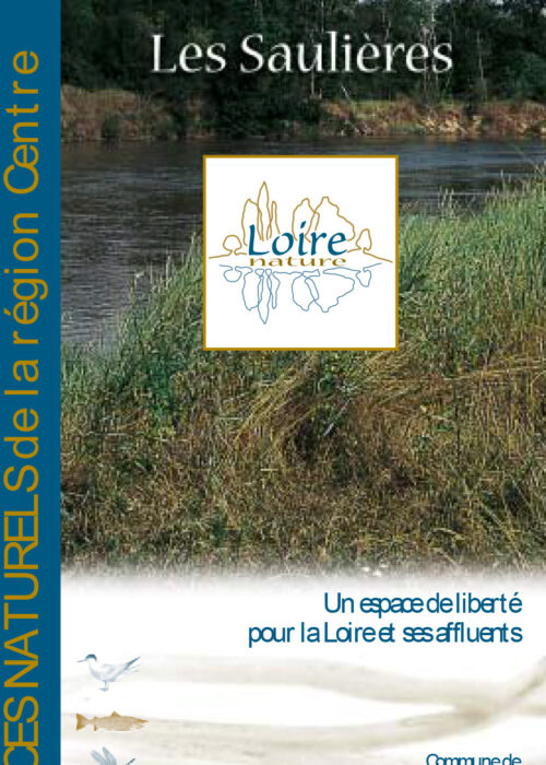 Les Saulières
